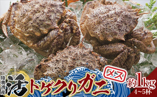 fu.... tax Aomori prefecture flat inside block Aomori prefecture land inside . production .togekligani( female ) approximately 1kg (4~5 cup ) [ white sand .. collection .. circle ].. direct delivery crab crab . seafood Aomori Aomori prefecture Tohoku ....