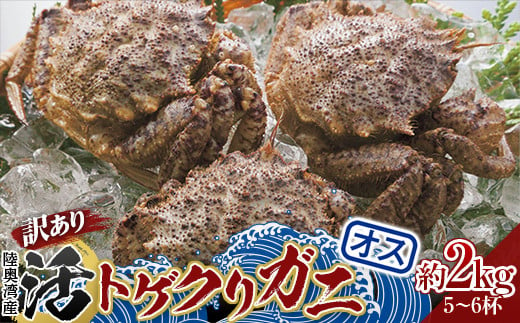 fu.... tax Aomori prefecture flat inside block { with translation } Aomori prefecture land inside . production .togekligani( male ) approximately 2kg (5~6 cup ) [ white sand .. collection .. circle ].. direct delivery crab crab . seafood Aomori Aomori...