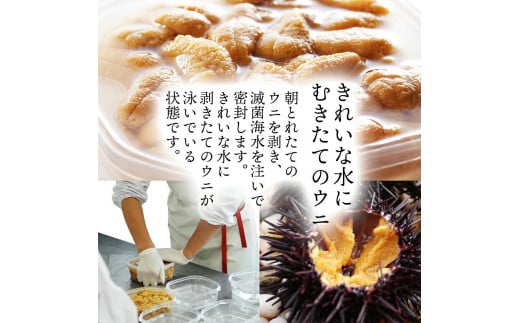 fu.... tax Iwate prefecture large boat . city limited time!! raw sea urchin 150g Iwate prefecture production refrigeration no addition myou van un- use purple sea urchin preceding reservation [ season limitation raw .. raw .. natural seafood...
