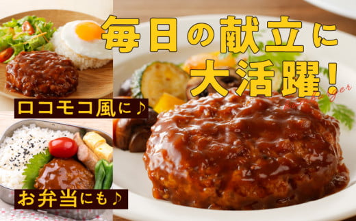 fu.... tax meat hamburger Osaka (metropolitan area) Izumi .. city Special made sauce hamburger 10 piece piece packing 160g×10 piece Izumi . sphere leek use ..-. popular daily dish small amount . wrench n hot water .....