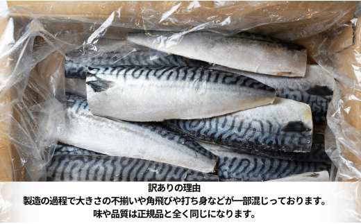 fu.... налог Chiba префектура .. город есть перевод соль ..fire примерно 3.6kg рефрижератор гарнир ежедневное блюдо скумбиря . кнопка, ручка настройки морепродукты рыба ....
