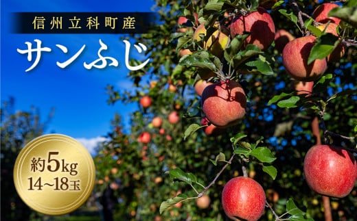 fu.... tax fruit kind apple Nagano prefecture .. block sun ..( approximately 5kg, super 14~18 sphere )