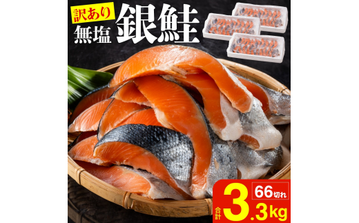 【ふるさと納税】 鮭、サーモン 切り身 3～3.4kg 鮭惣菜、加工品の商品画像