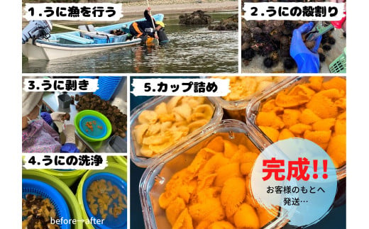 fu.... tax Hokkaido piled . block [2024 year 6 month .. sequential shipping ].. direct delivery! piled .. production! salt water hemicentrotus ( male ) 100g×2(myou van un- use )