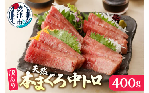 【ふるさと納税】 マグロ 中トロ 約400g マグロ（生魚）の商品画像