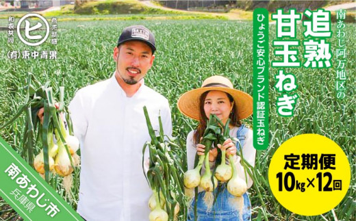 fu.... tax Hyogo prefecture south ... city [12 months fixed period flight ][ ripening . sphere leek ]10kg