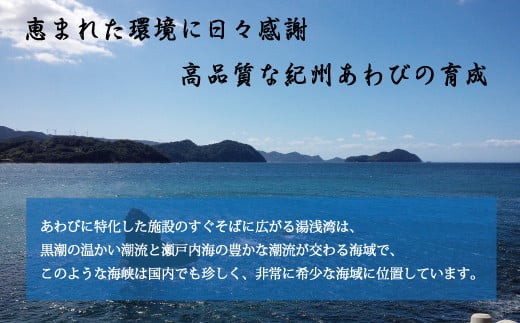 fu.... tax Wakayama prefecture . Honmachi finest quality!.....×3 piece .. star . pavilion also shipping be finest quality abalone < date designation OK>. abalone |.... seafood . abalone fish . seafood [...