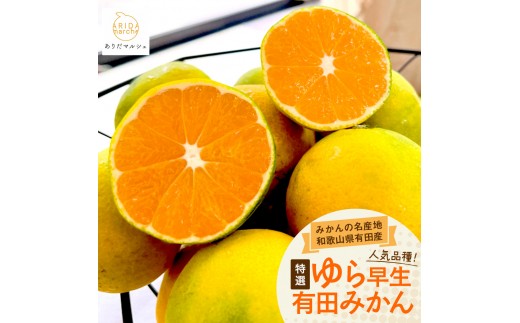 【ふるさと納税】みかん 通常品 サイズおまかせ 2kg台 みかん、柑橘類の商品画像