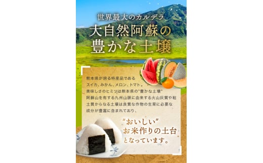 fu.... tax musenmai Kumamoto prefecture peace water block . peace 6 year production new rice Kumamoto prefecture production forest. .. san musenmai 10kg 3 month on and after shipping | small amount .5kg × 2 sack Kumamoto prefecture production .. rice musenmai . is .....