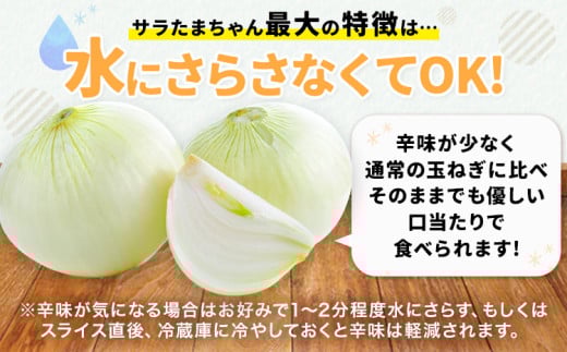 fu.... налог овощи вид шар лук порей Kumamoto префектура Цу . дерево блок есть перевод Sara Tama Chan новый шар лук порей 5kg {1-5 предприятие дней в течение отгрузка предположительно ( суббота, воскресенье и праздничные дни за исключением )} Kumamoto префектура . север уезд Цу . дерево блок овощи ....