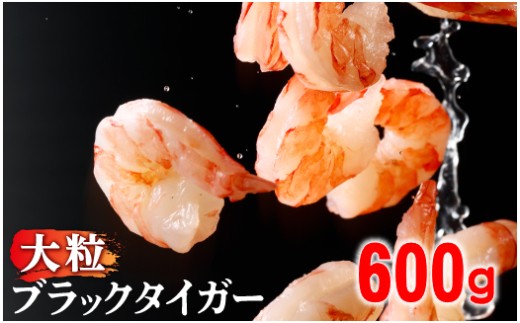 【ふるさと納税】 ブラックタイガー 500g～900g ブラックタイガーの商品画像