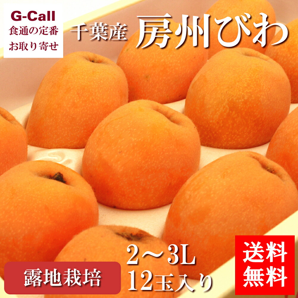  Chiba production .. loquat . ground thing 2~3L 12 sphere free shipping biwa loquat fruit .. thing fruit gift .... large sphere .. fruit ...... gift your order 