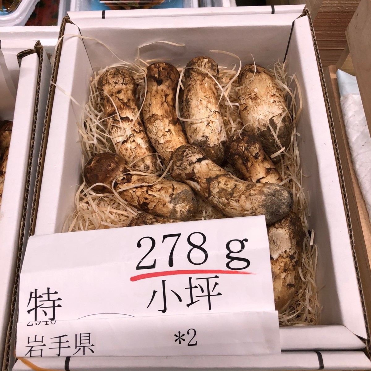  сосна . маленький цубо Iwate производство 