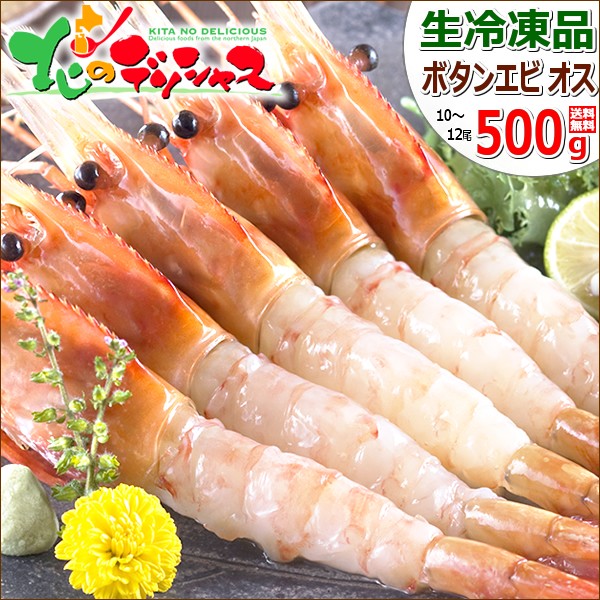  очень большой креветка Botan shrimp 500g (BL/ мужской /10-12 хвост ввод / сырой рефрижератор ) сырой креветка море . подарок подарок подарок . праздник .. Hokkaido гурман бесплатная доставка ваш заказ 