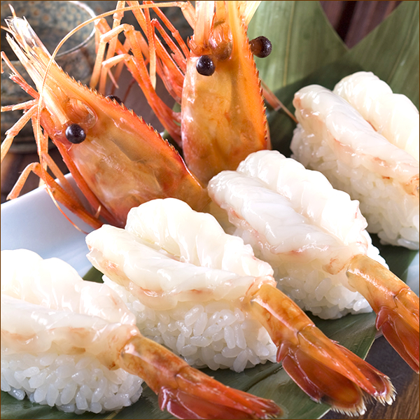  очень большой креветка Botan shrimp 500g (BL/ мужской /10-12 хвост ввод / сырой рефрижератор ) сырой креветка море . подарок подарок подарок . праздник .. Hokkaido гурман бесплатная доставка ваш заказ 