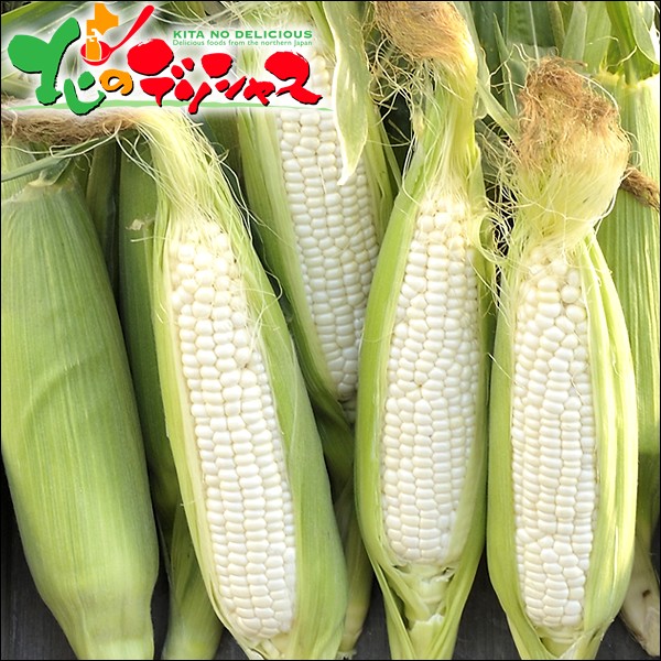 [ reservation ] corn pure white 10ps.@( refrigeration flight ) Hokkaido production maize sweet corn south canopy block Bright Farming Village network gift free shipping your order 