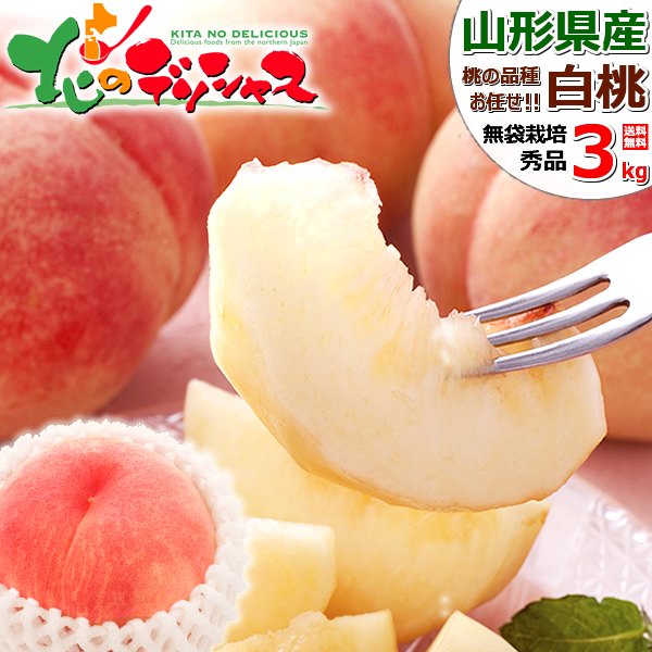 [ reservation ] Yamagata prefecture production white peach 3kg ( preeminence goods /7 sphere ~11 sphere entering / cool refrigeration flight ) summer gift hot middle see Mai . remainder hot see Mai . present Yamagata prefecture free shipping your order 