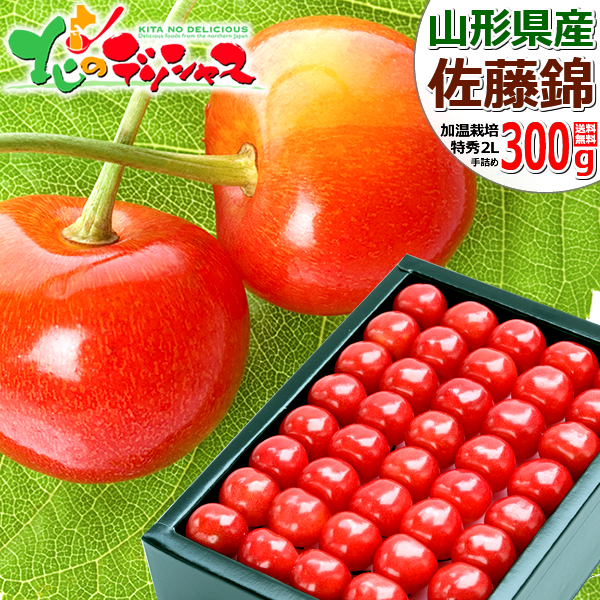  delay ..... Mother's Day gift cherry Sato .300g ( Special preeminence goods /2L size / vanity case ) 2024 gift present red carnation Mother's Day card fruit fruit 