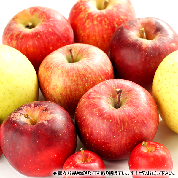 [ reservation ] Yamagata prefecture production apple is ..2kg ( preeminence goods /5 sphere ~8 sphere entering ) molasses entering apple winter gift gift present .. high class fruit fruit free shipping your order 