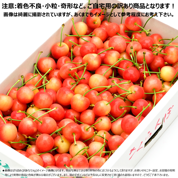  Yamagata prefecture production . home use cherry . preeminence .1kg ( with translation /M size /..../ cool flight ).. ground .. equipped home for home use profit large portion . Yamagata prefecture direct delivery from producing area your order 