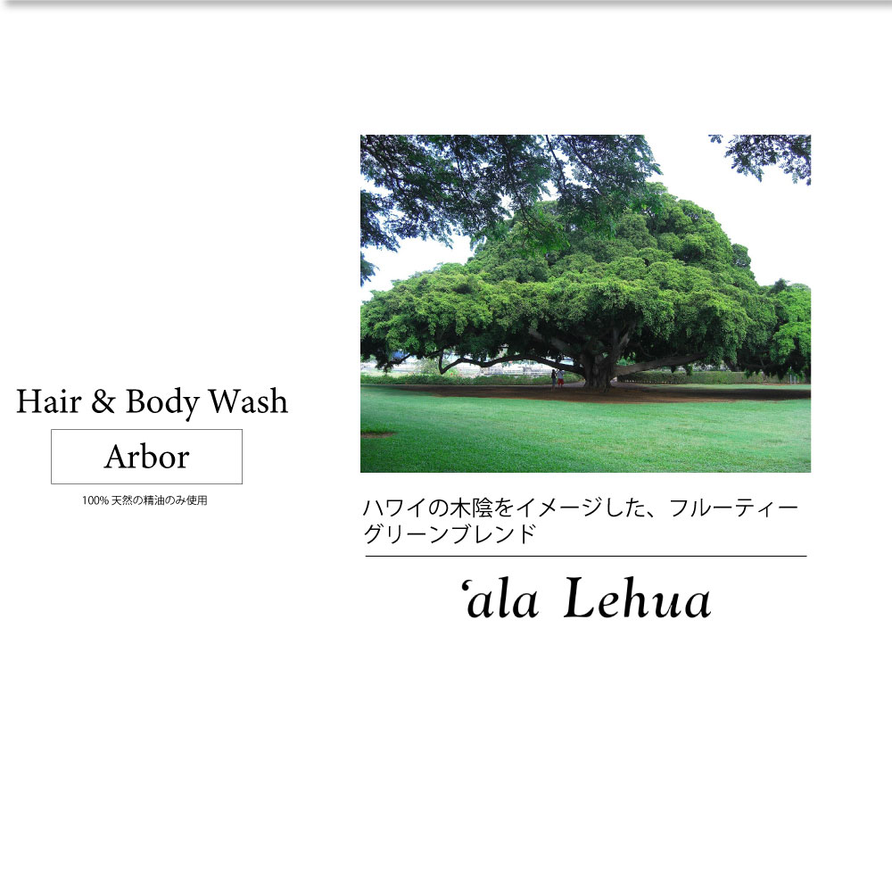 ala ref a hair & body woshu body detergent shampoo organic no addition body care hair care natural non Chemical nature Hawaii 