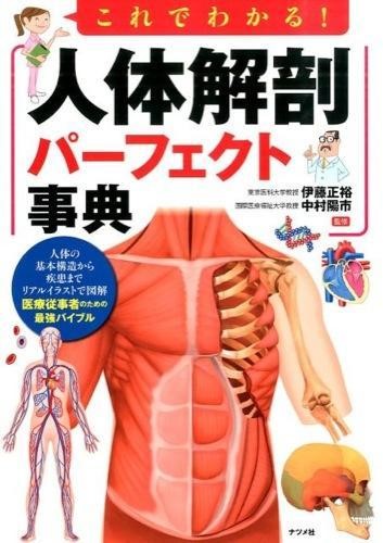 これでわかる！人体解剖パーフェクト事典 伊藤正裕／監修　中村陽市／監修の商品画像