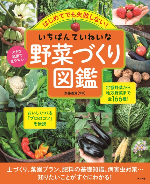 はじめてでも失敗しない！いちばんていねいな野菜づくり図鑑 （はじめてでも失敗しない！） 加藤義貴／監修の商品画像