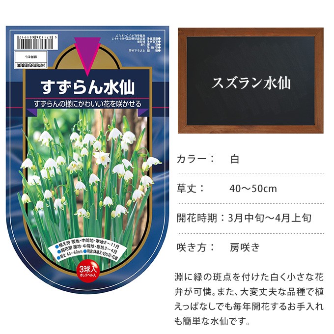 秋植え 球根 栽培 花壇 趣味 園芸 ガーデニング 庭 花 植物 水仙 球根 スズラン水仙 3球セット Pg ガーデン用品屋さん 通販 Yahoo ショッピング
