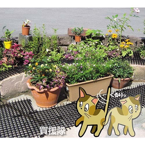  защита от кошек здесь dame сиденье 30cm×2m шт первый винил 
