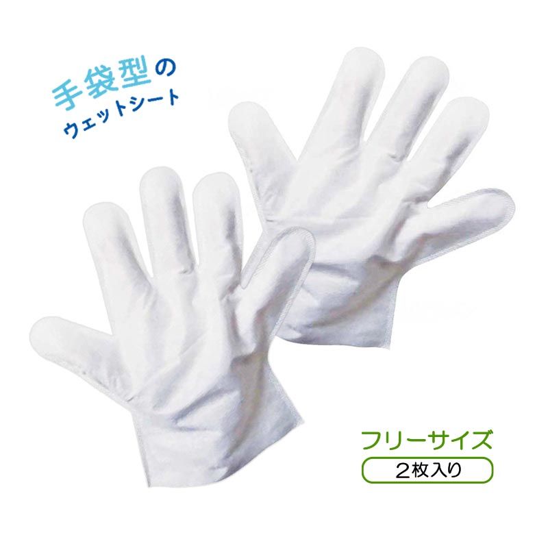  Manufacturers lack of 5 month last third restoration expectation water. not foam none shampoo wet gloves 2 sheets insertion disaster prevention go in . nursing outdoor W704505 Shikoku paper sale SKK wet gloves long time period preservation 