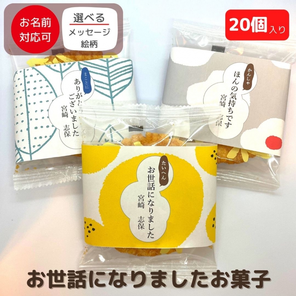 銀座花のれん お世話になりました 揚げせんべい 銀座餅 20個入り × 1個の商品画像