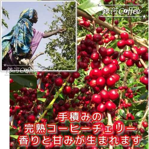 карниз сумка аромат. женщина .( полный -ti.No1)mo Кайл ga che f натуральный (echio Piaa ) Milky Way кофе 6 сумка 