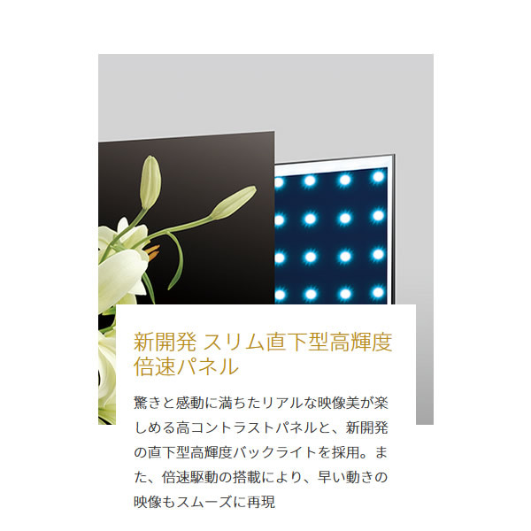 TOSHIBA 東芝 4K液晶 レグザ ダブルチューナー内蔵 液晶テレビ REGZA 