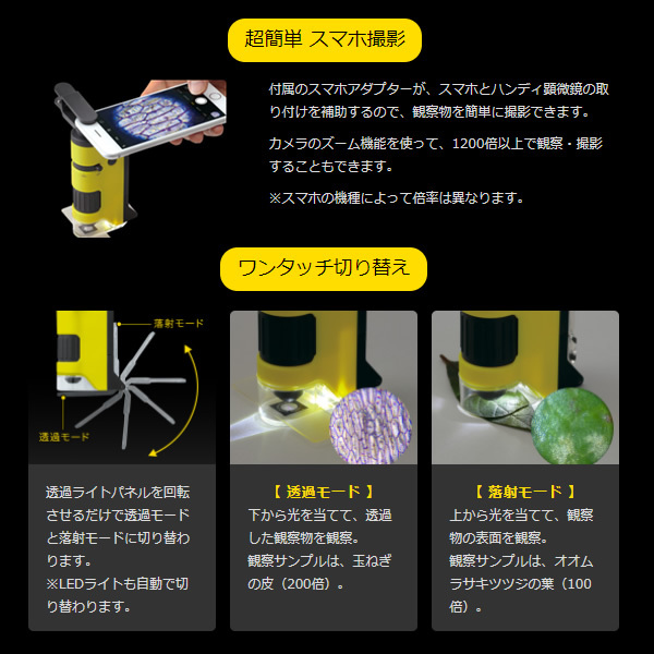 RAYMAY レイメイ藤井 ハンディ顕微鏡 DX イエロー RXT300Y :RXT300Y:ぎおん - 通販 - Yahoo!ショッピング