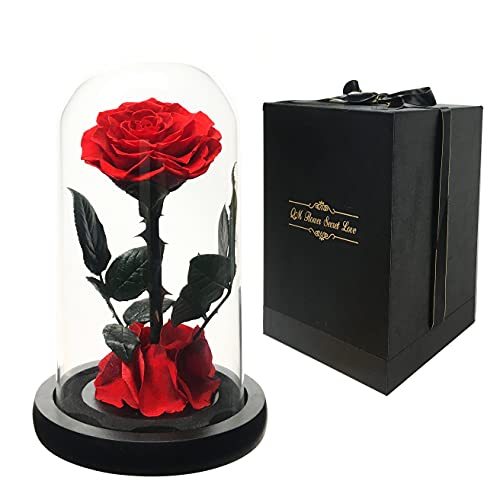 売り値 NC プリザーブド 本物の赤いバラ 永遠の花 ガラスドーム 