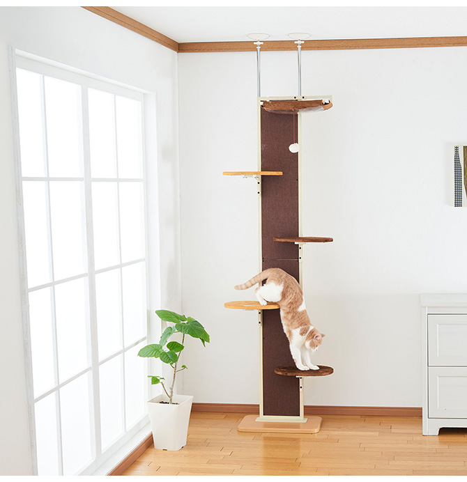 キャットタワー おしゃれ キャットツリー キャットウォーク 猫用 Bonbi