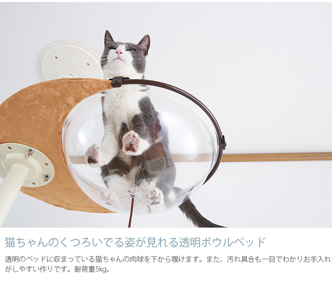 キャットタワー おしゃれ キャットツリー 突っ張り 猫用 Bonbi ボンビ