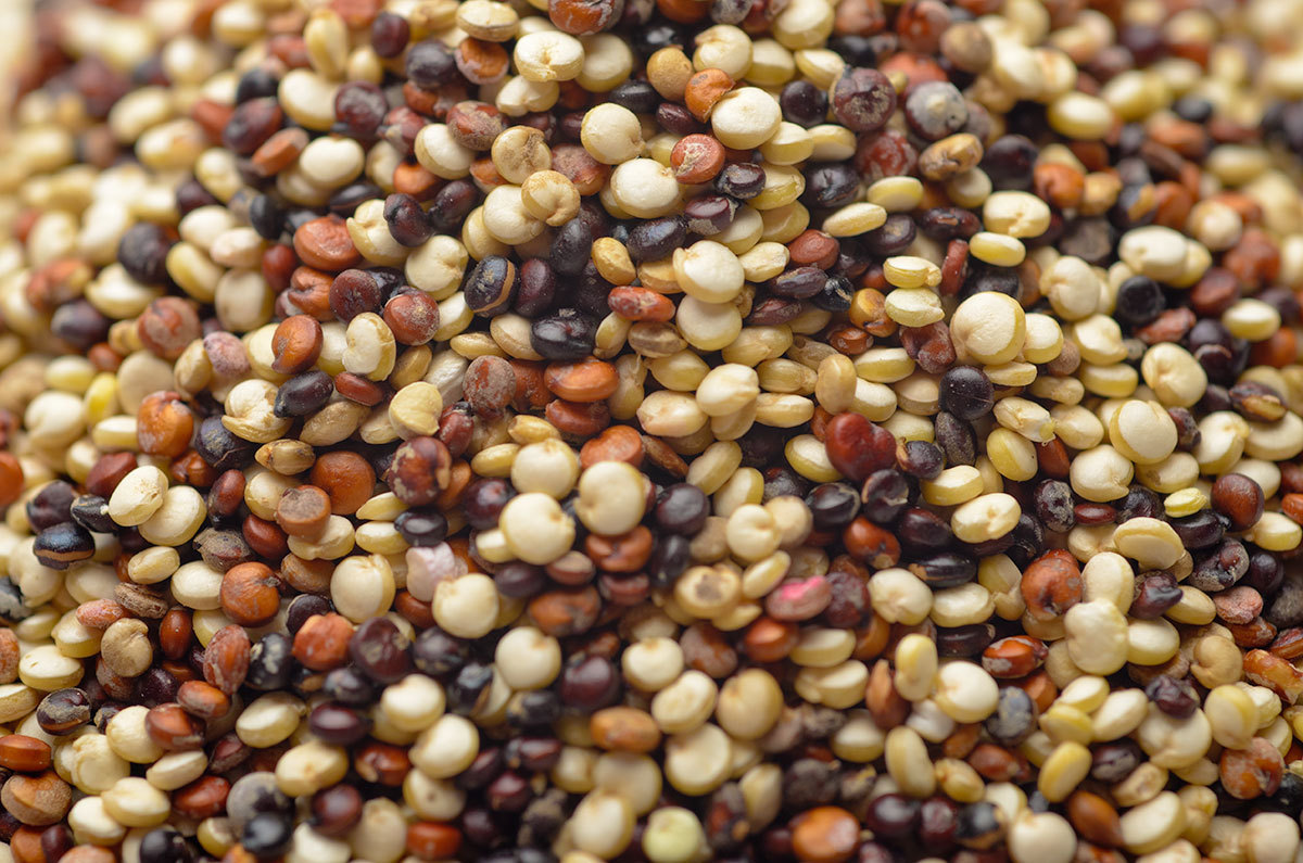 3 color Mix quinoa ( bead )1.2 kg - ORGANIC &amp; GLUTEN-FREE Royal Quinoa