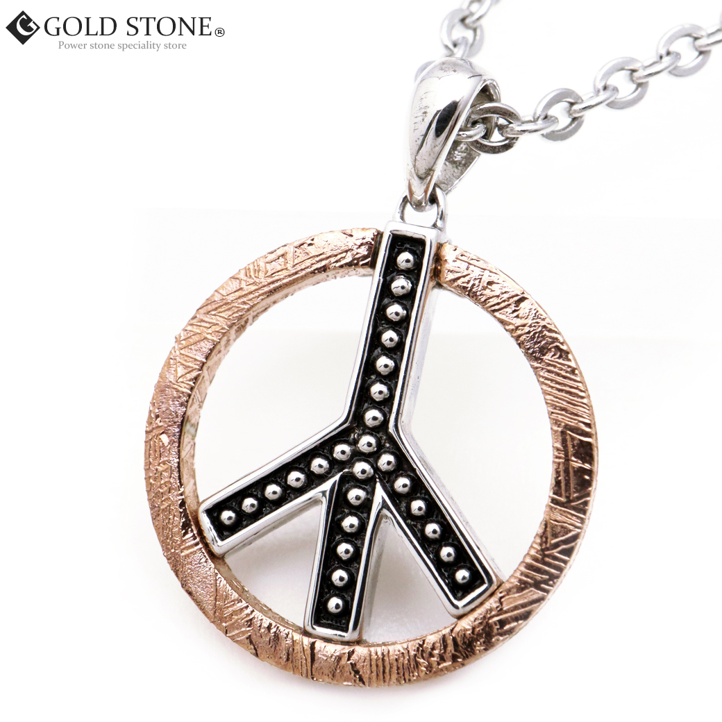 ギベオン 隕石 ネックレス 天然石 ペンダント ピースマーク Silver925  