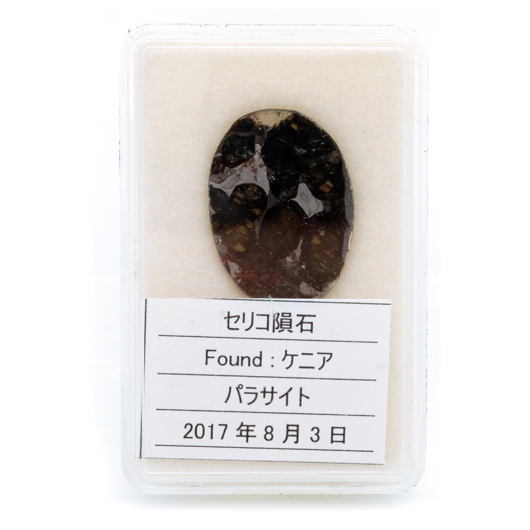 GOLD STONE パラサイト隕石 ケニア セリコ産 重量1.3g 隕石標本
