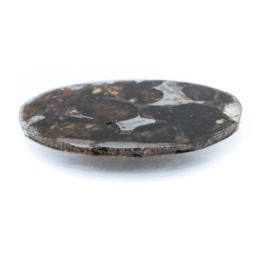 GOLD STONE パラサイト隕石 ケニア セリコ産 重量1.3g 隕石標本