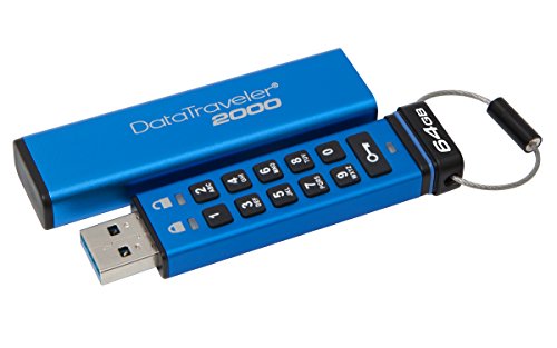 キングストン データトラベラー DataTraveler 2000 DT2000/64GB（64GB） USBメモリの商品画像