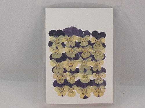 fk sun pressed flower pack viola yellow + purple FUK-1028