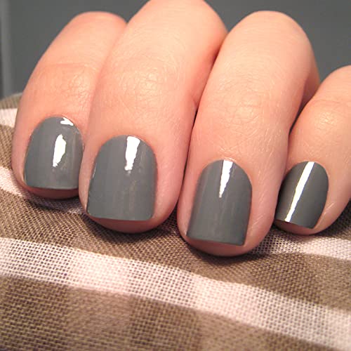  stick only manicure parakeet ko[ Steel gray ] (Steely Gray)