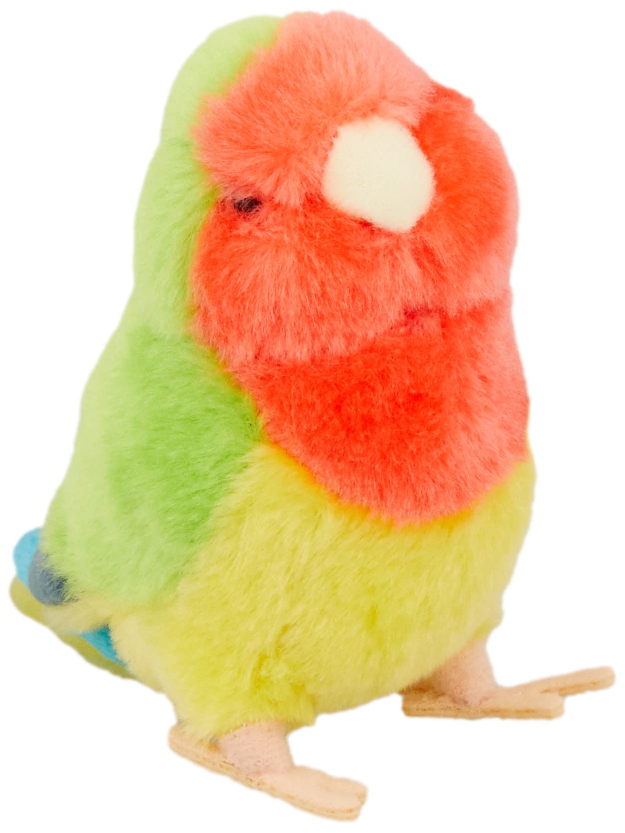 ことりのね コザクラインコ