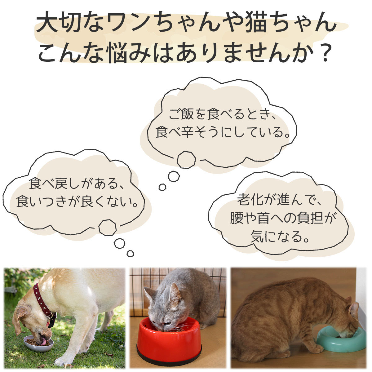 犬 食器 犬用 食器台 フード ボウル 猫 餌入れ 水入れ ギガランキングｊｐ