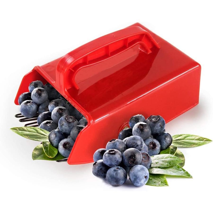  голубика уборщик руль имеется Berry pi King .. tool легкий в использовании . сила фрукты .. фрукты брать . фруктовое дерево . сопутствующие товары 