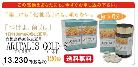 . cheap set! have ta squirrel Gold S(120 pills )×6 pcs set Kagoshima prefecture production * highest peak. winter insect summer .* free shipping 