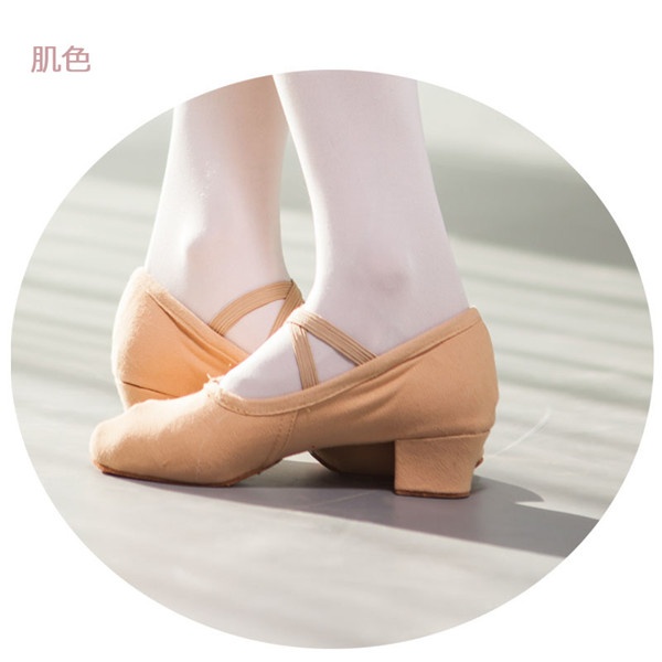  ballet shoes shoes Dance shoes flat shoes adult 