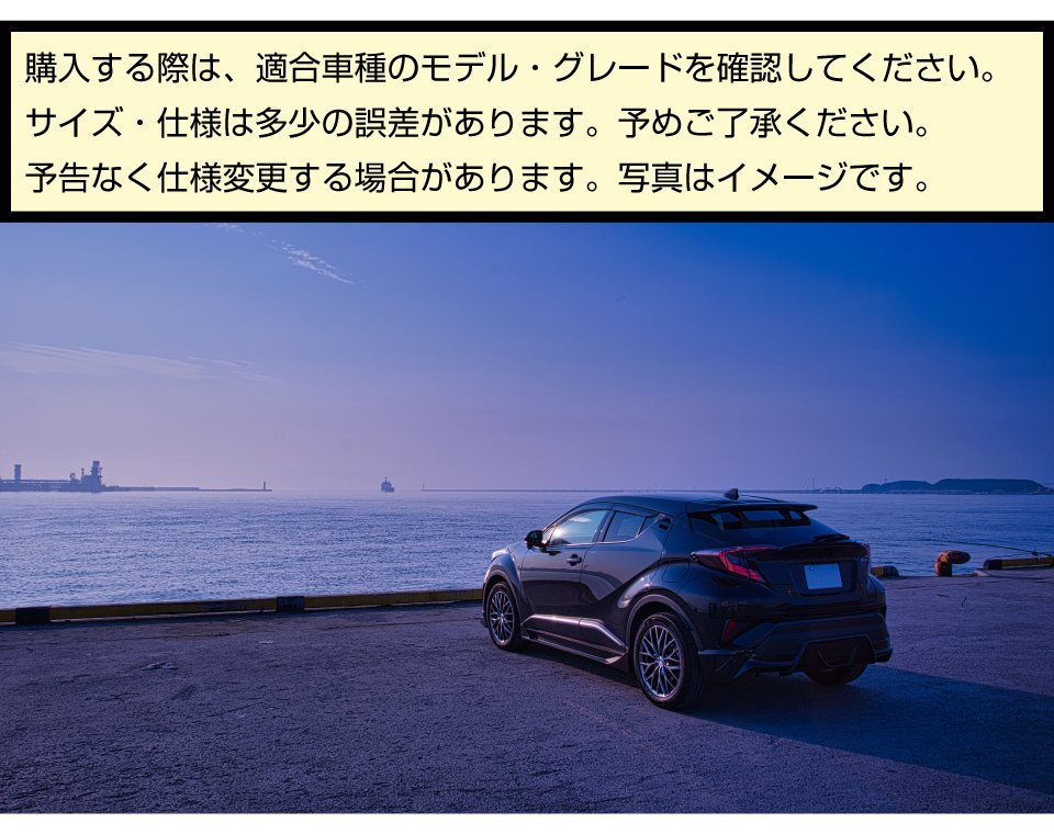 ライズ アクセサリー ロッキー 専用 パーツ グッズ TOYOTA RAIZE